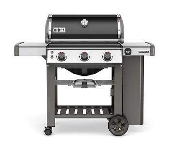 Weber Genesis E-310